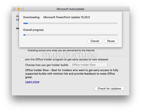 check for updates for office on mac